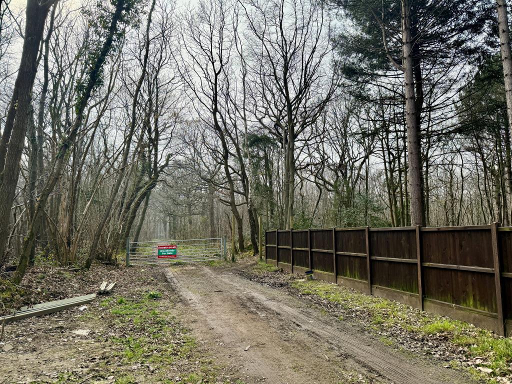 Lot: 2 - APPROX. 9.5 ACRES OF WOODLAND - Gated access to woodland